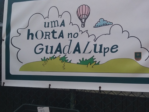 Trabalhos na nossa horta - alunos do secundário