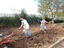 Preparação do terreno das Hortas Bio, por alunos do CEF