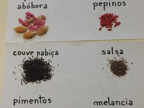 Sementes de feijão, ervilhas, abóboras, pepinos, couve nabiça, salsa, pimentos, melancia.