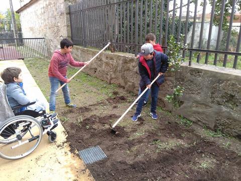 Preparação de terra para espaço de horta, com intervenção dos alunos.