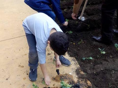 Plantação de produtos hortícolas com intervenção de alunos e professores.