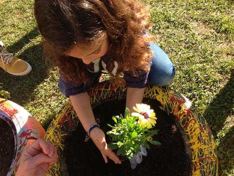 Plantámos todas as nossas flores com muito cuidado :)