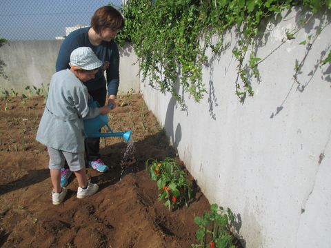 Alunos a regar a horta.