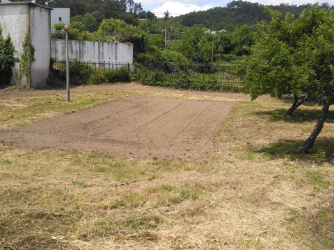 O espaço foi lavrado após a extensa época de chuvas que se verificou, permitindo assim a plantação futura.