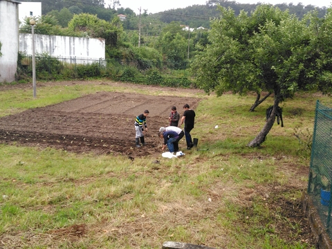 Plantação de beterraba, couve, beringela, tomate, pimento, feijão, melancia, abóbora e alface