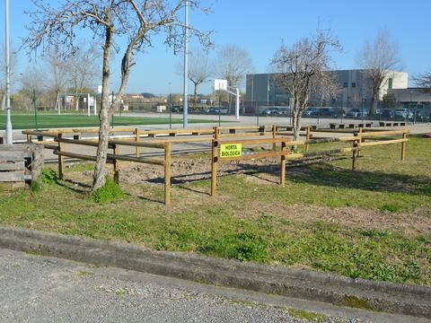 Novo espaço delimitado para o cultivo de hortícolas. Parceria com a Junta de Freguesia de S.Salvador.