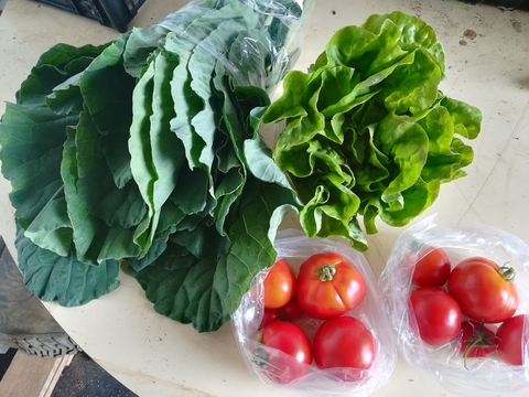 Produtos para venda na escola