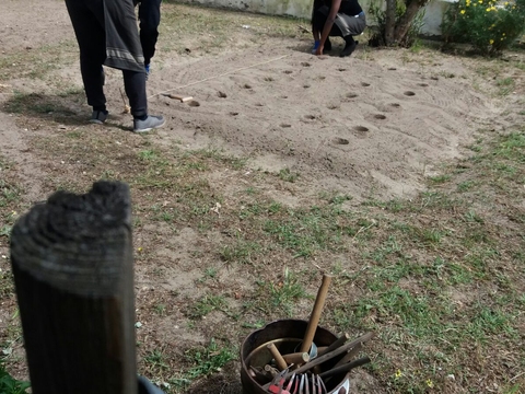 Buracos para plantação de tomateiros