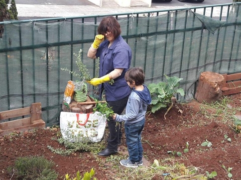 Visitas à horta para fazer plantações