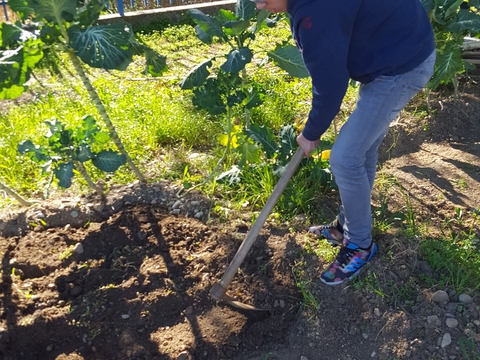 Preparar a terra para colher