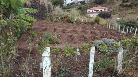 Limpeza e preparação do terreno