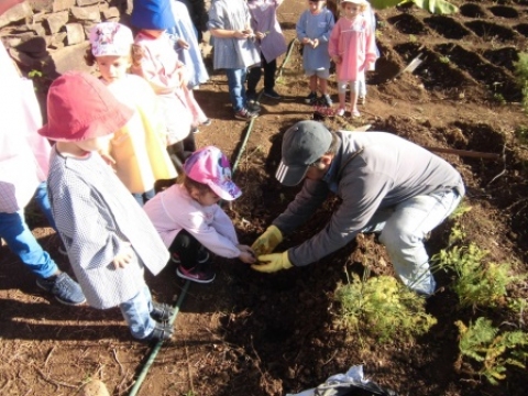 Plantação no talhão da pré-escolar.