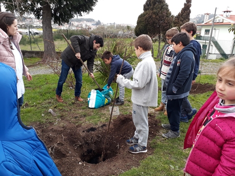 Colocação de adubo após preparação da terra para a plantação de uma macieira.