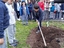 Participação ativa dos alunos durante a plantação.