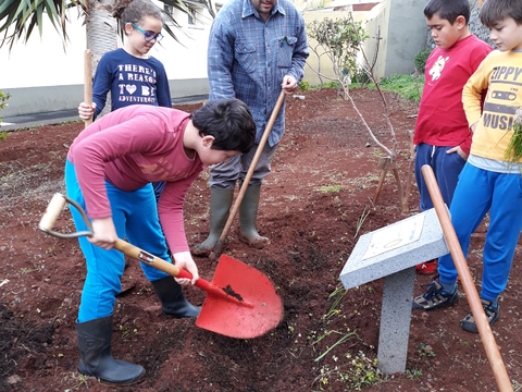 Preparação/ Limpeza da terra , semear/plantar