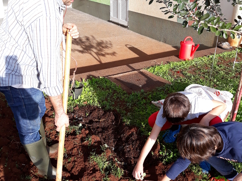 Preparação/ Limpeza da terra , semear/plantar