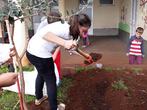 Preparação/ Limpeza da terra , semear/plantar