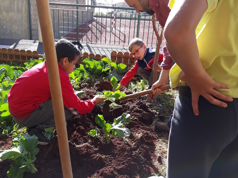 Plantação/ manutenção/ monda das ervas daninhas da horta.