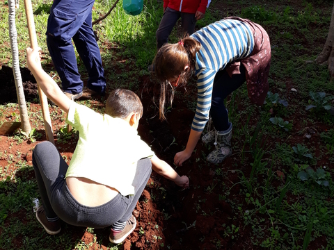 Plantação/ manutenção/ monda das ervas daninhas da horta.