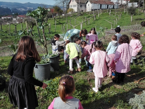 preparação do terreno