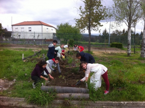 Plantação