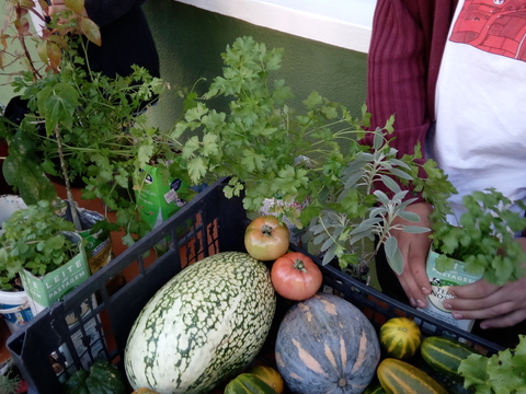 Feira de produtos biológicos