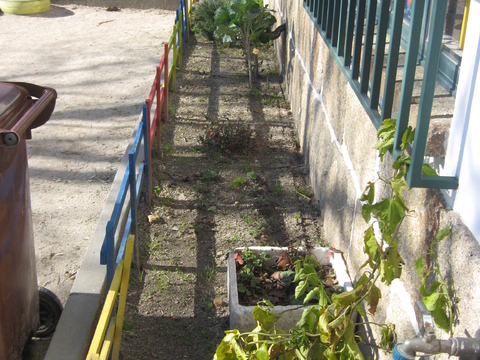 horta pequena em cultivo