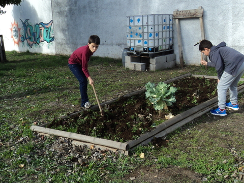 Manutenção eco vigilantes 6.ºE