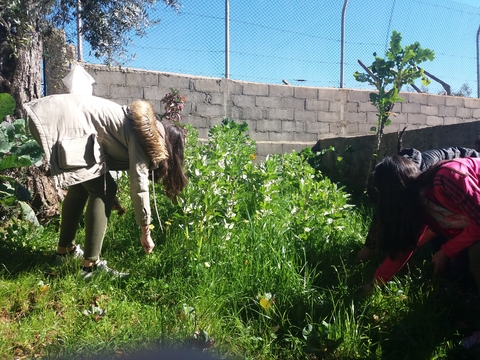 Tarefas de limpeza e monda