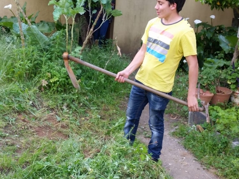 Preparar a terra para o milho e o feijão