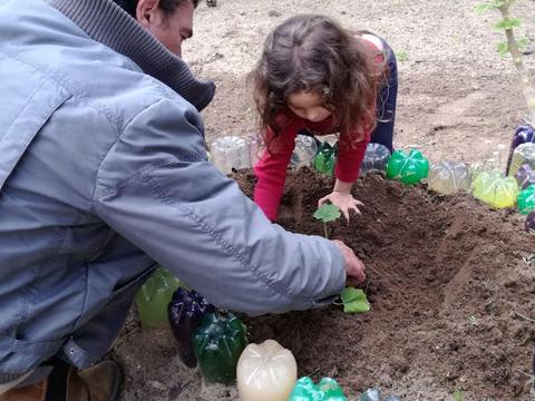 Tratando das ervas aromáticas