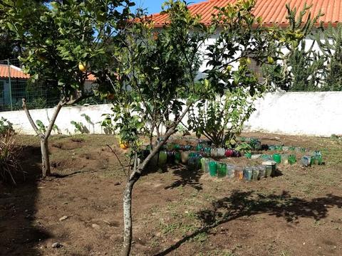 Vista geral de parte da horta com compostor e garrafas colocadas em forma de flor para delimitar o espaço das curgetes e morangos