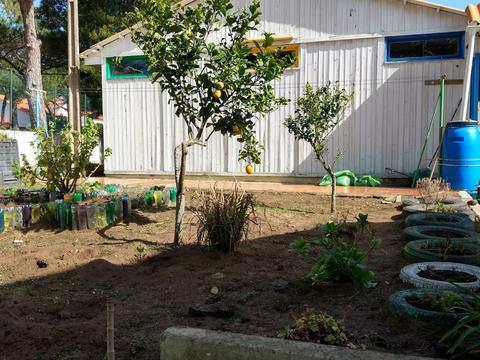 Outra vista geral da horta com o Barril de recolha da água da chuva que utilizamos para a rega