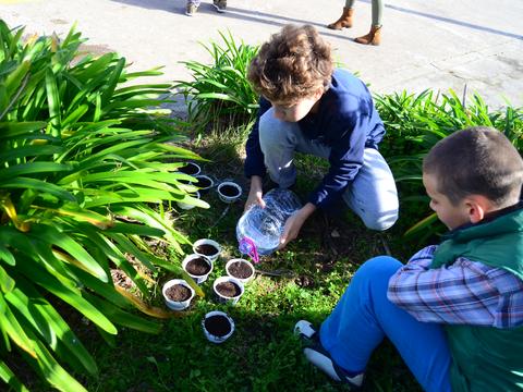 Horta Biológica 4:
Preparação da sementeira para a horta.