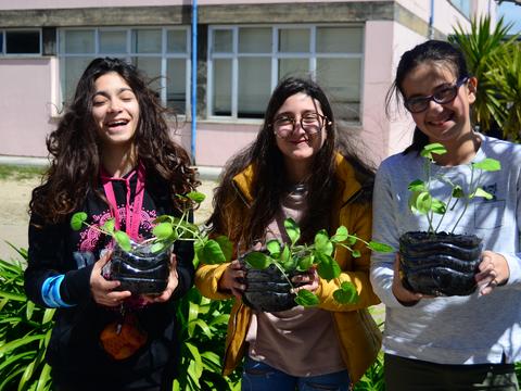 Horta Biológica 1:
Crescimento das sementeiras e preparação da terra da horta para a transplantação.