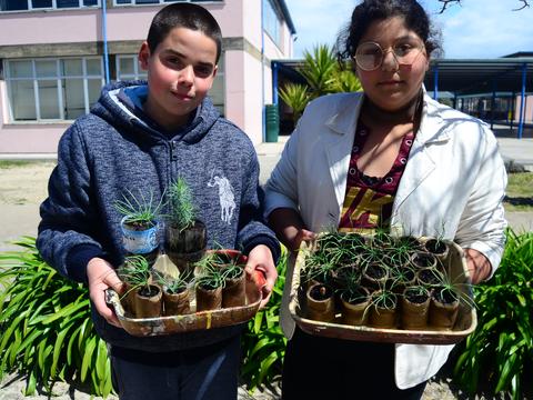 Horta Biológica 2:
Crescimento das sementeiras e preparação da terra da horta para a transplantação.