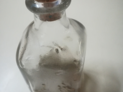 Sementes de morango dentro do frasco/amostra