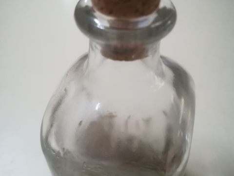 Sementes de morango dentro do frasco/amostra a germinarem