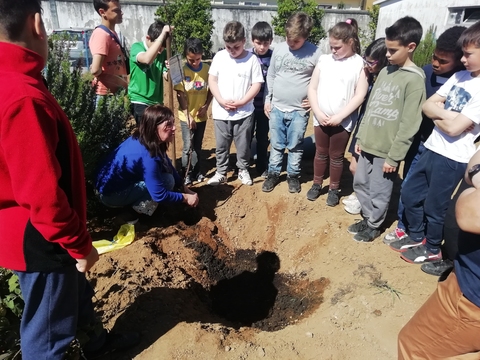 Explicação aos alunos - como plantar uma árvore de fruto