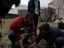 Plantio de feijocas, com alunos do Projeto da APADIF