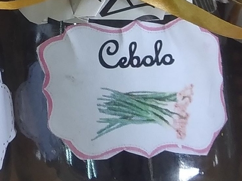 cebolo