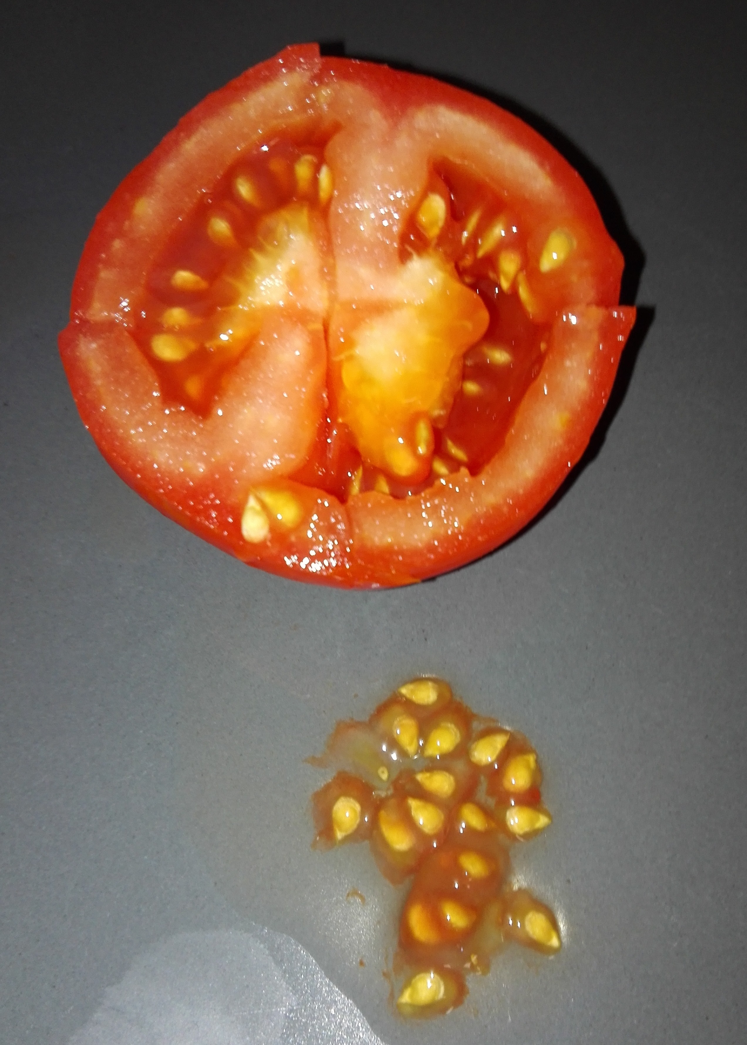 1-Sementes retiradas do tomate