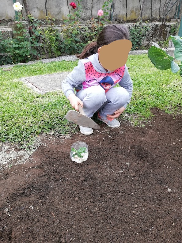Fazer buraco para plantar pé de feijão