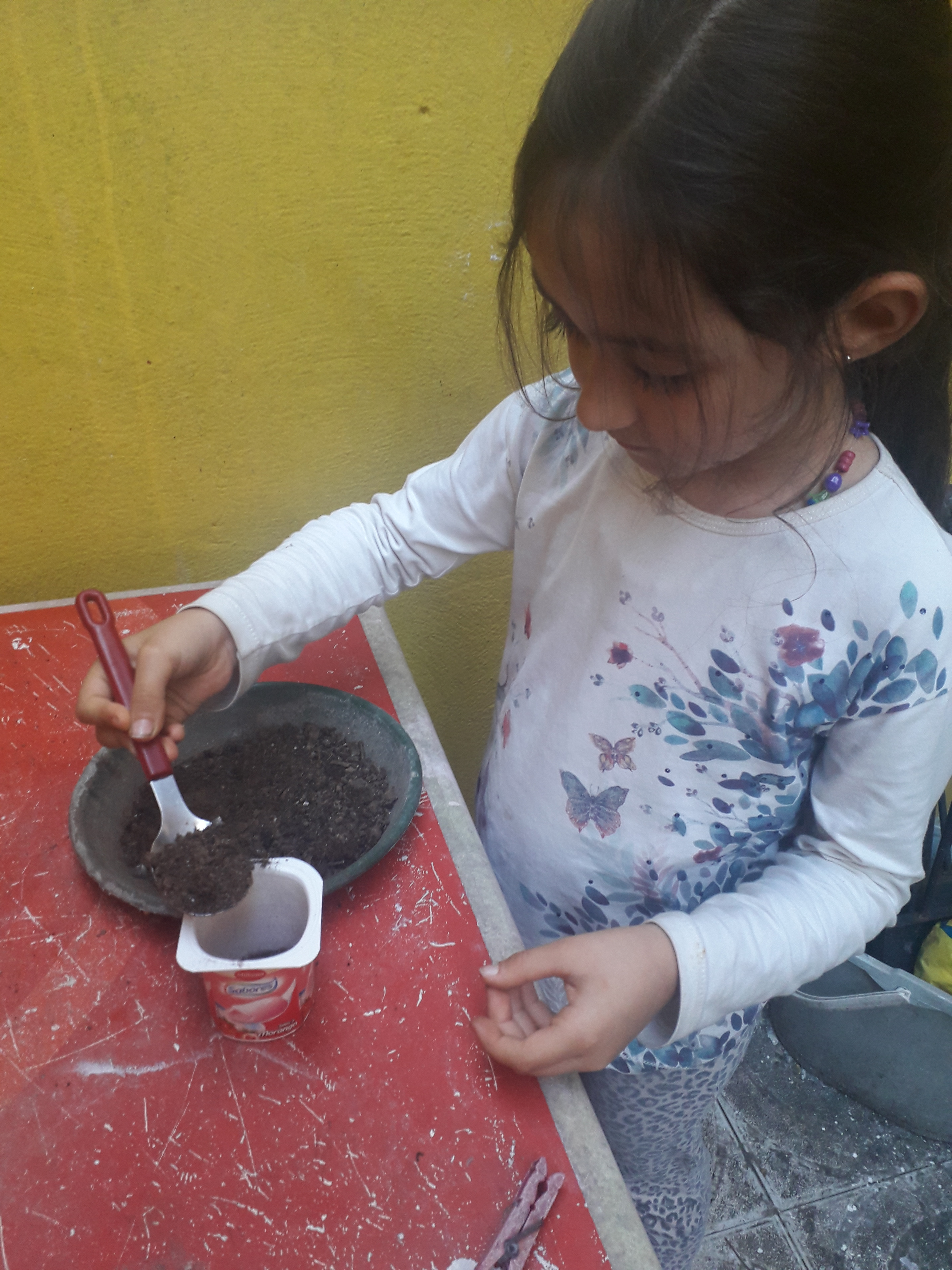 A Beatriz Pinto Carvalho, nº3 do 1ºA a colocar terra no copo de iogurte reutilizado para semear os feijões.