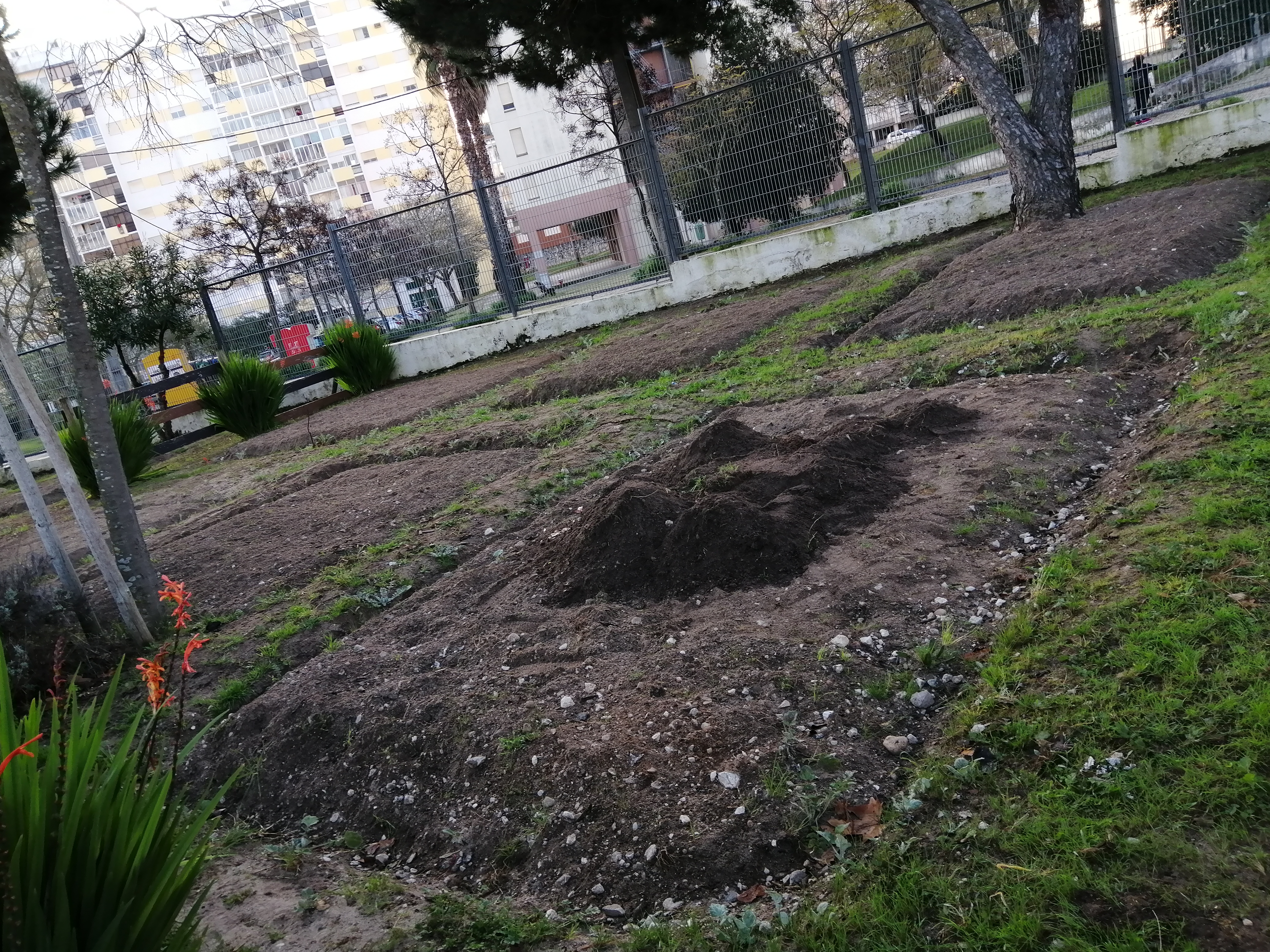 Espaço da horta e início da preparação do terreno