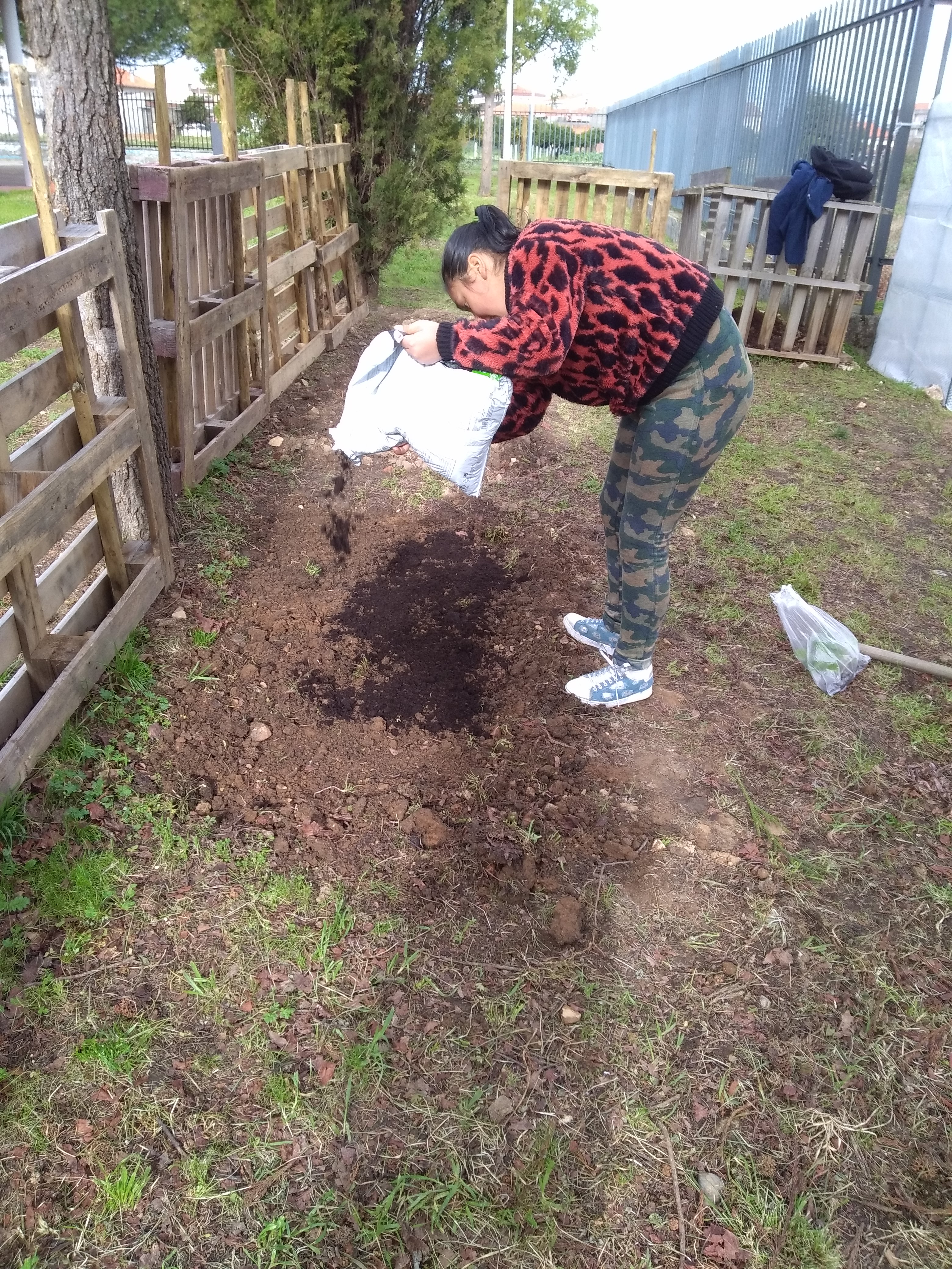 Após se ter remexido a terra, com o uso de enxadas, tornou-se mais balofa e de fácil manuseamento. Acrescentou-se composto biológico para enriquecer o solo.