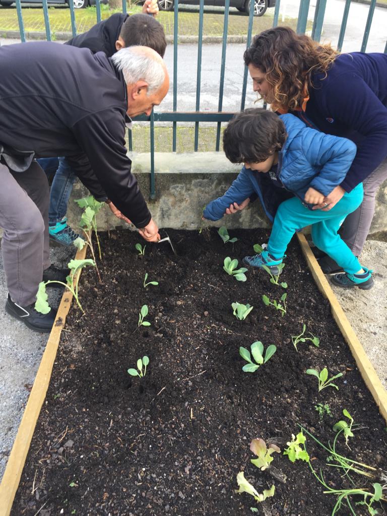 Plantação com a colaboração das famílias.