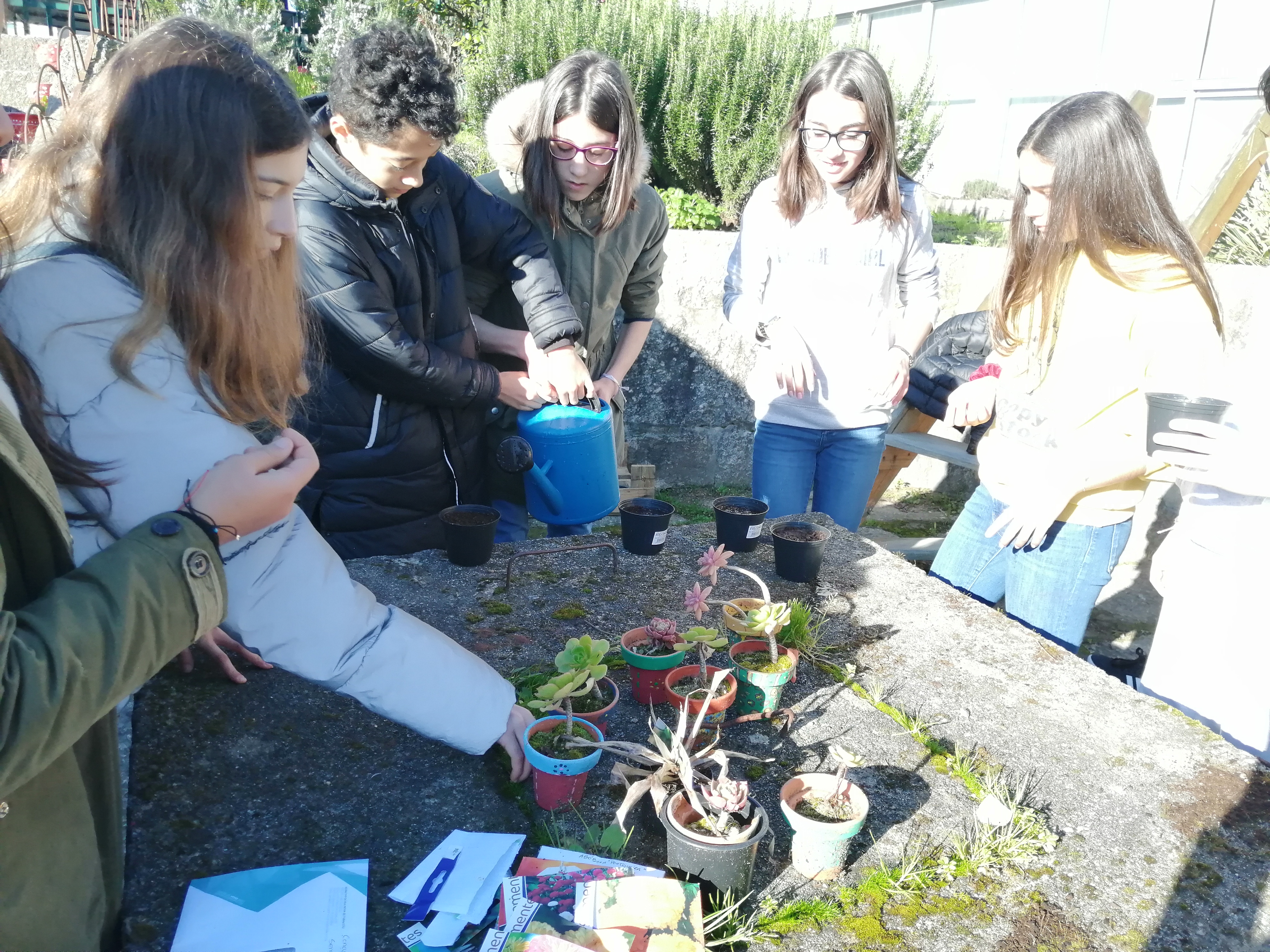Plantações de primavera
Alunos de várias turmas semeiam e plantam várias plantas (prímulas, morangueiros, amores prefeitos, hortícolas, flores selvagens, calêndulas, cravos túnicos) e fazem vários canteiros de forma a embelezar os espaços escolares.