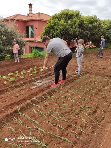 Horta pedagógica 1 - Atividade de plantação /rega