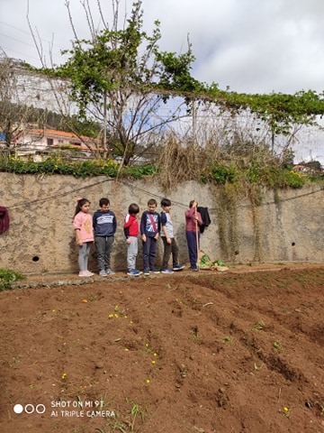 Horta Pedagógica 3 - Atividade de plantação